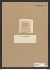 Pseudauliscus johnsonianus (Grev.) Rattr. (de-Toni-Nr.: Genus 172, Species 4430) Zeichnungen Sammlung Grunow Nr. 7988 (NHMW-BOT-W0377282)